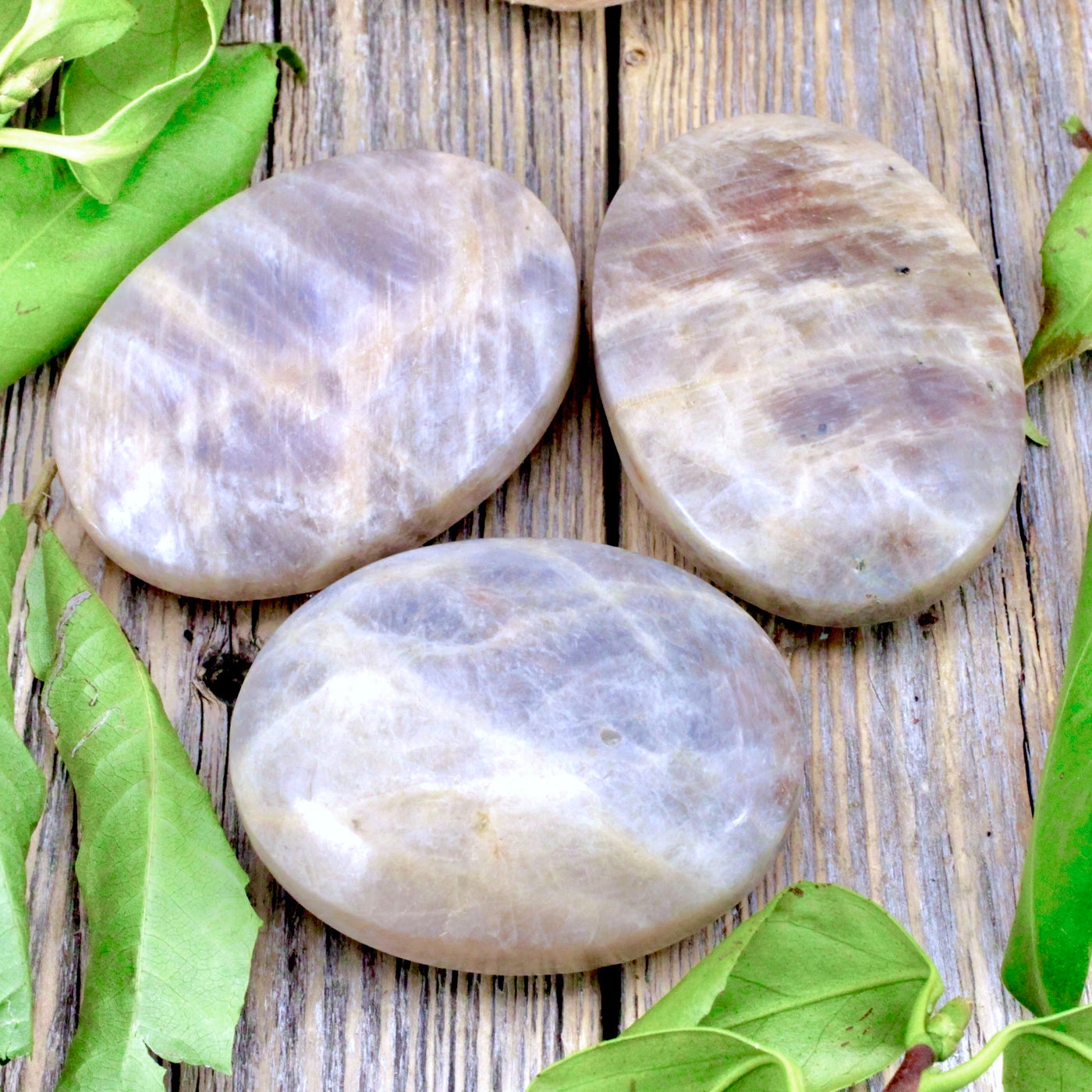 Misty Moonstone Palm Stone