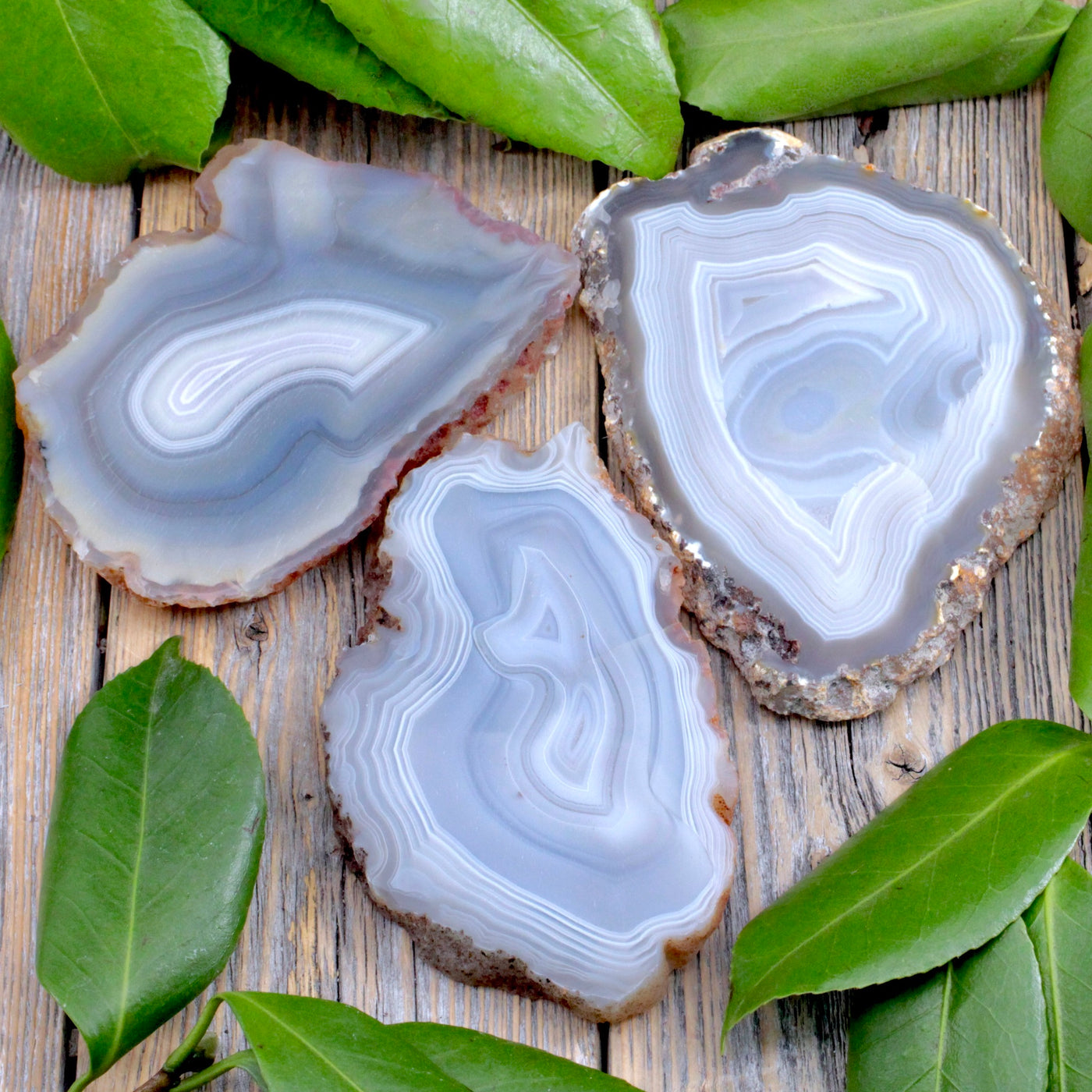 Natural Agate Slices