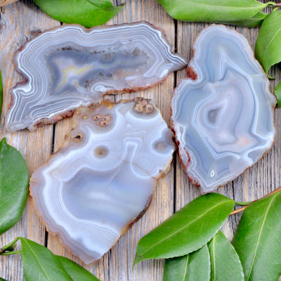 Natural Agate Slices