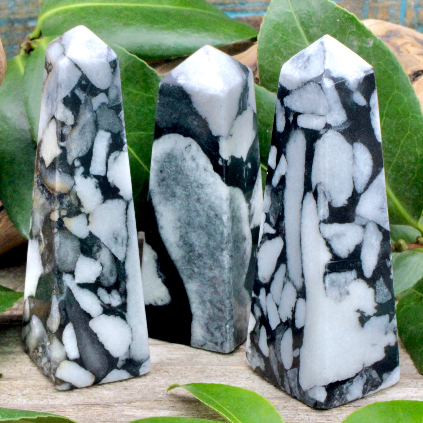 Shell Jasper Obelisk – RockMama.com