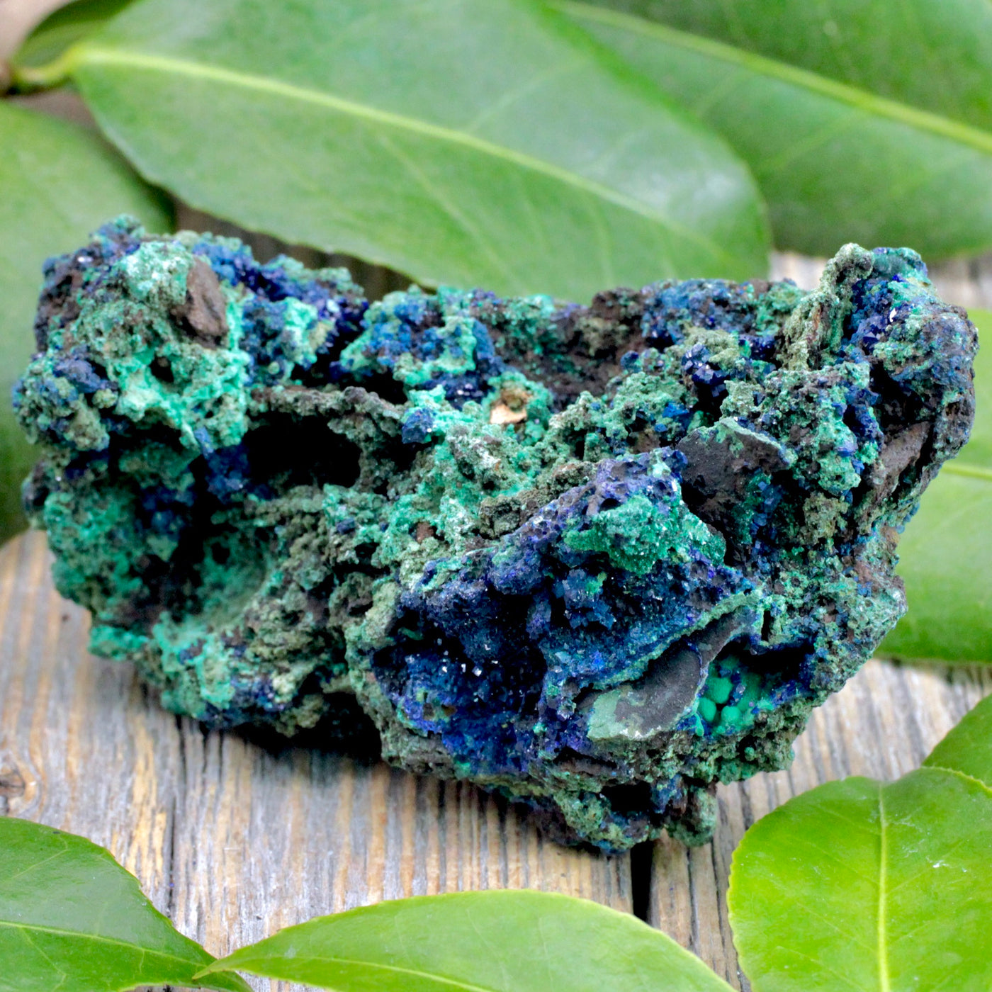 Azurite with Malachite Rough Chunk