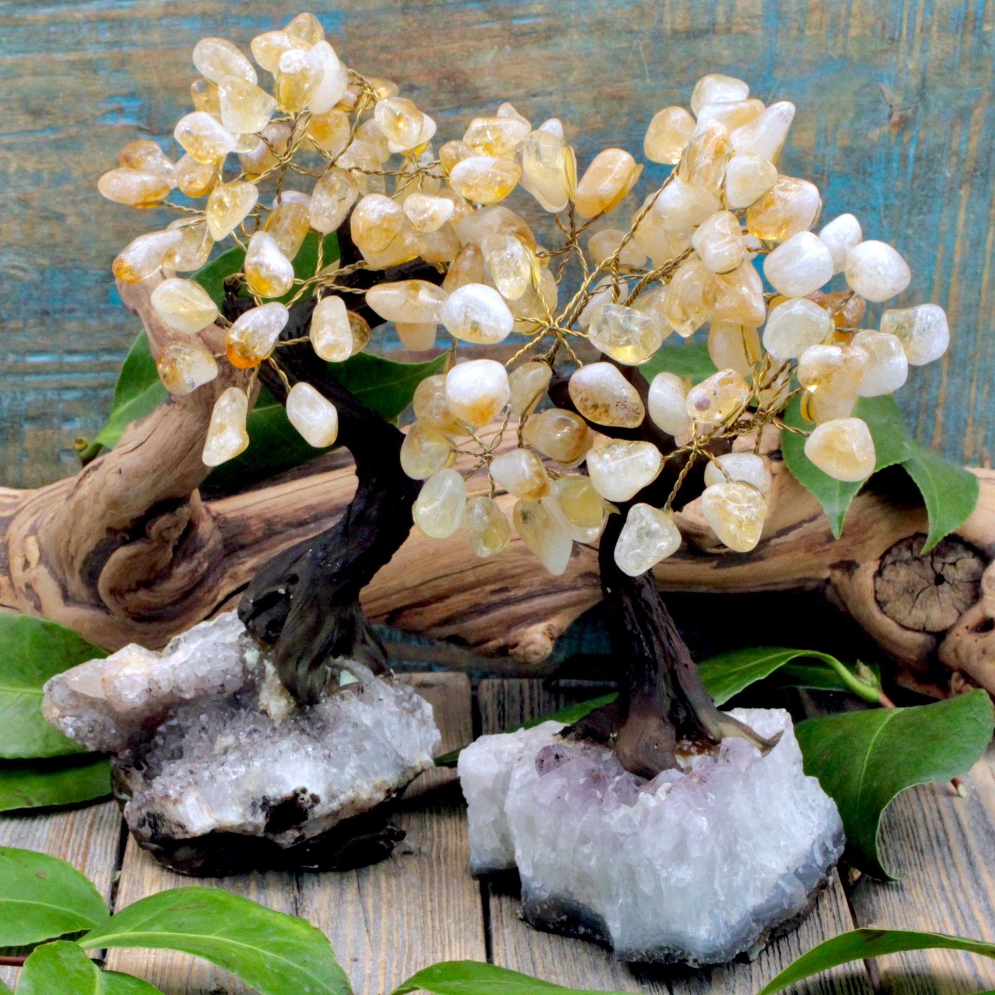 Citrine Crystal Tree with Amethyst Cluster Base – RockMama.com