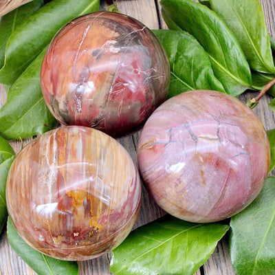 Petrified Wood Sphere