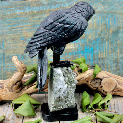 Black Onyx Raven on Pyrite Stand