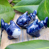Sodalite Shark