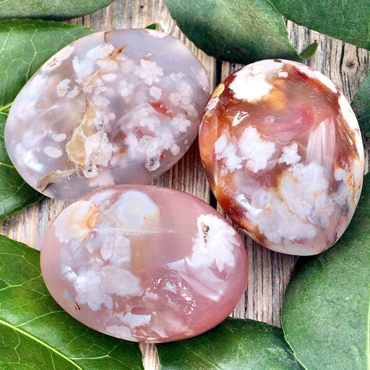 Red Flower Agate Palm Stone