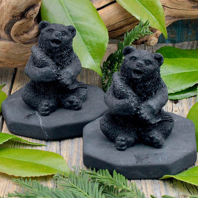 Shungite Bear with Fish