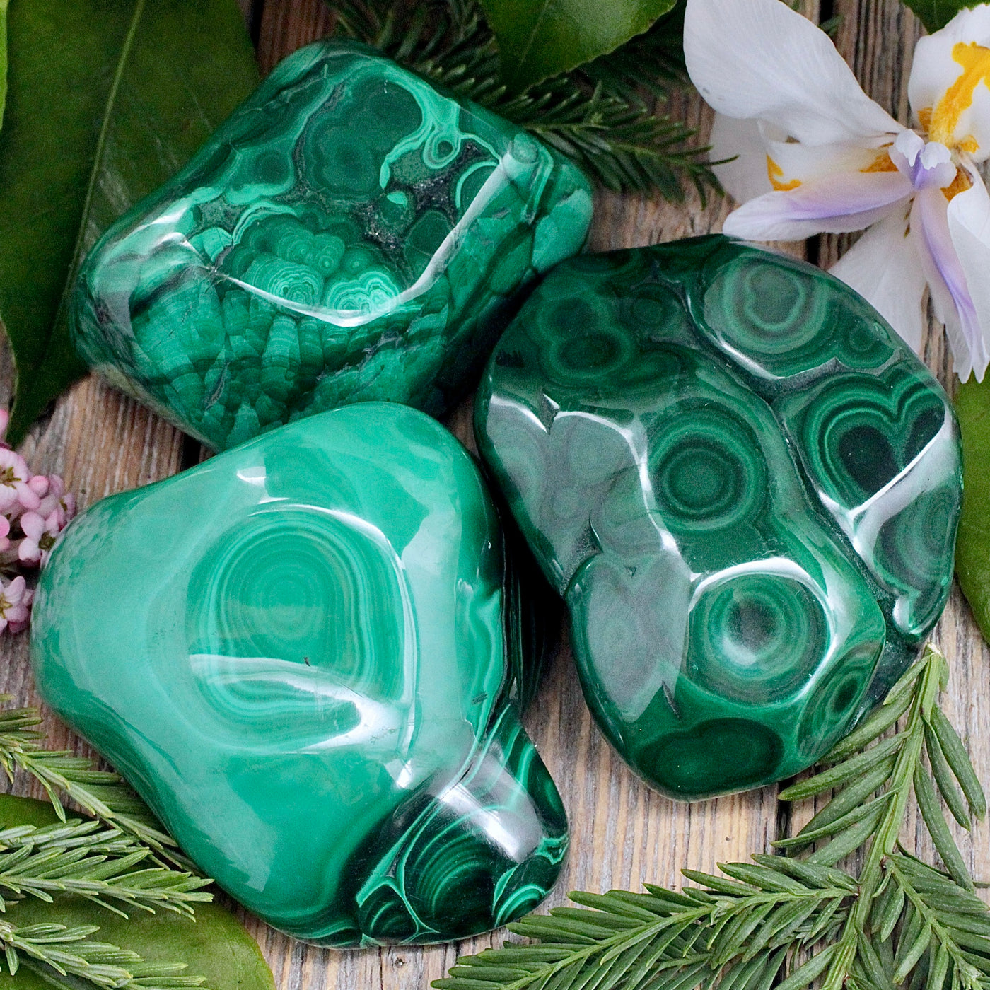 Malachite Freeform