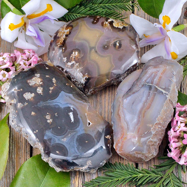 勾玉 (Timor Agate) Timor Agate Half Polish – RockMama.com
