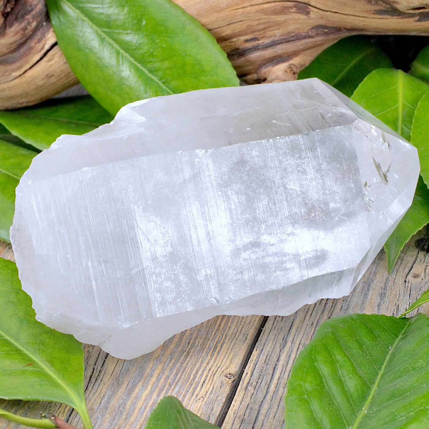 Lemurian Quartz Point