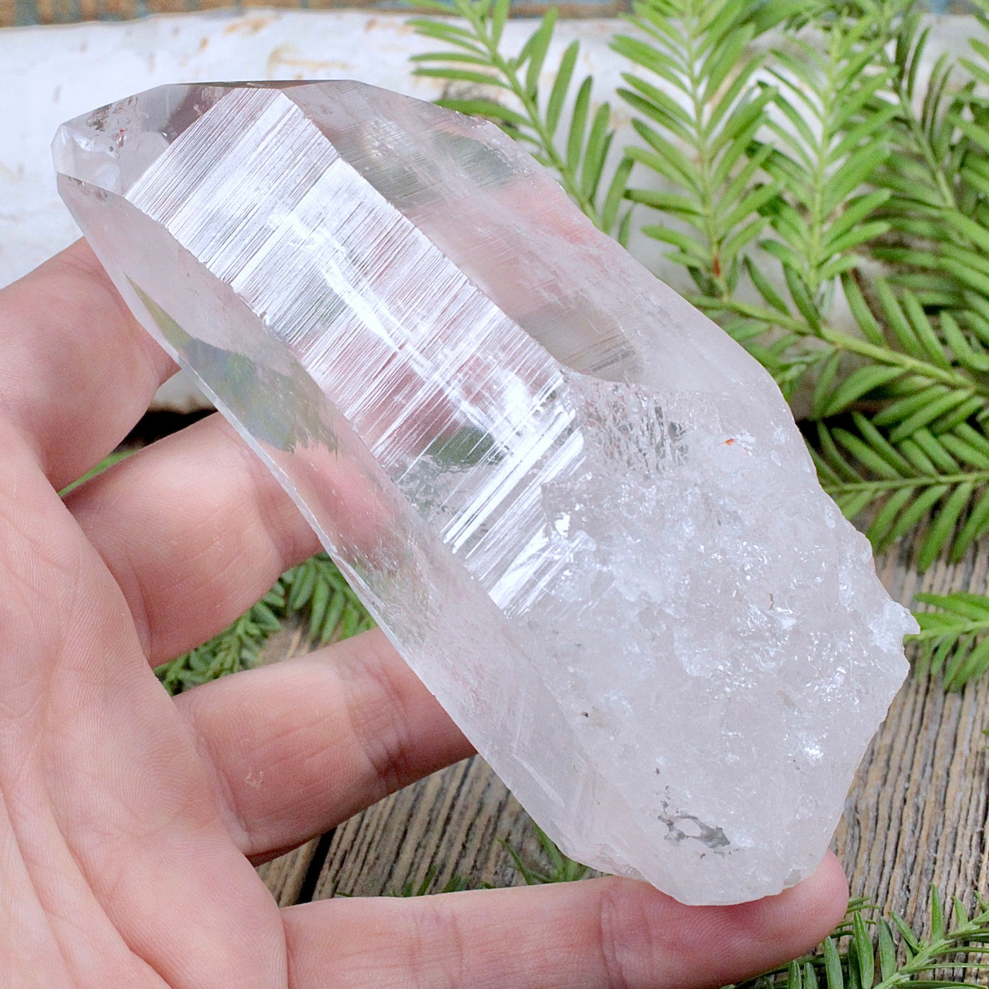 Lemurian Quartz Point