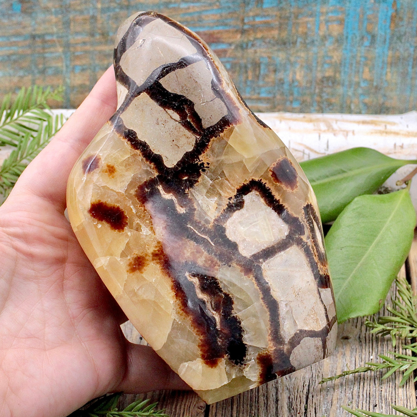 Septarian Freeform