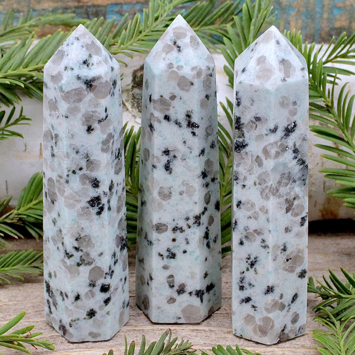 Kiwi Jasper Tower