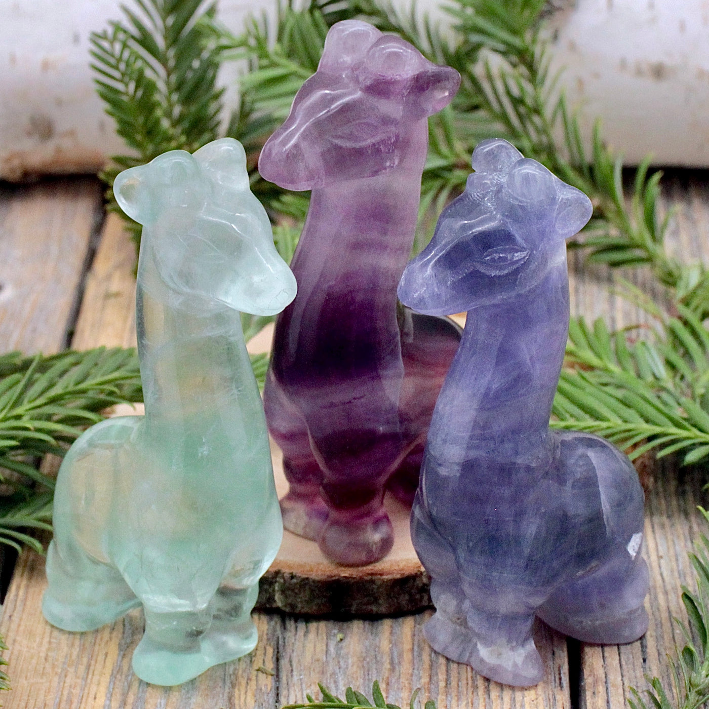 Fluorite Giraffe