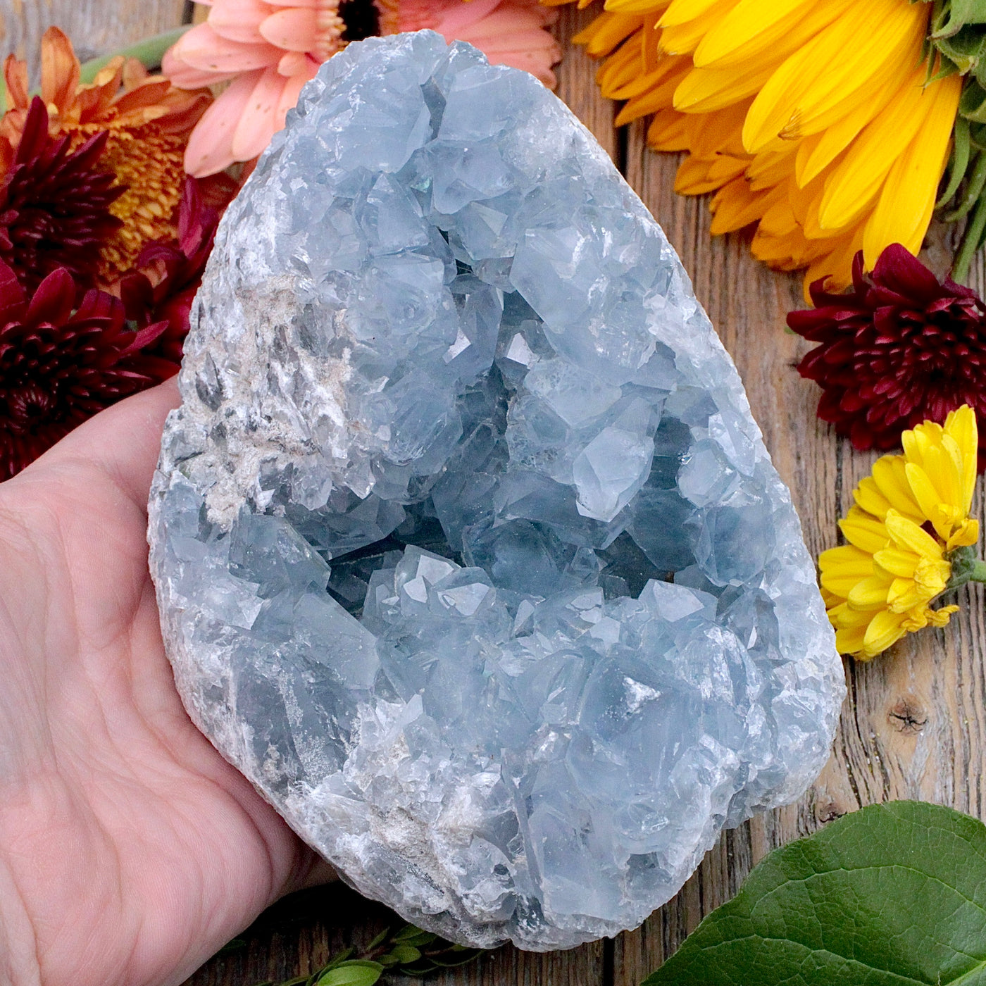 Celestite Cluster