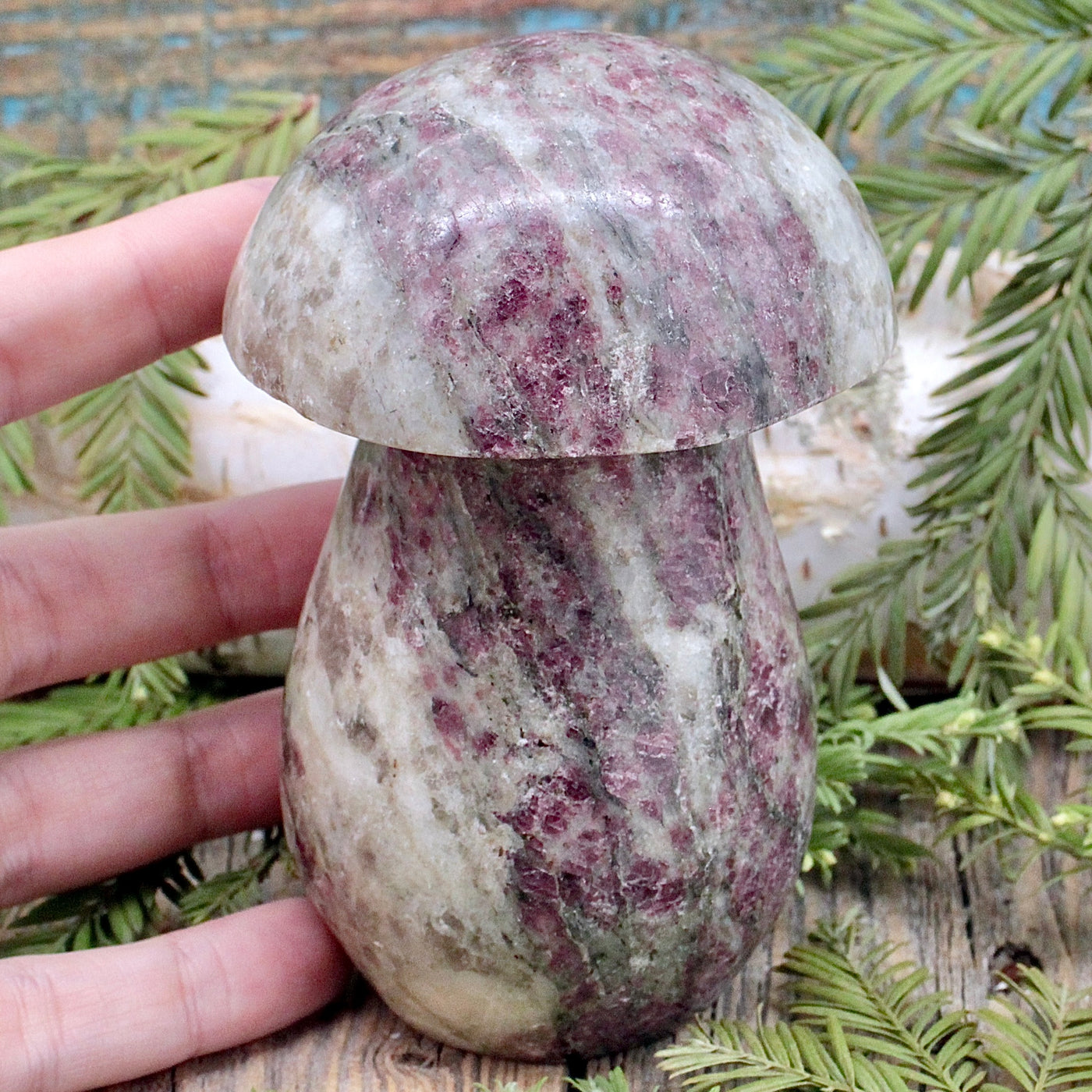 Rubellite Mushroom