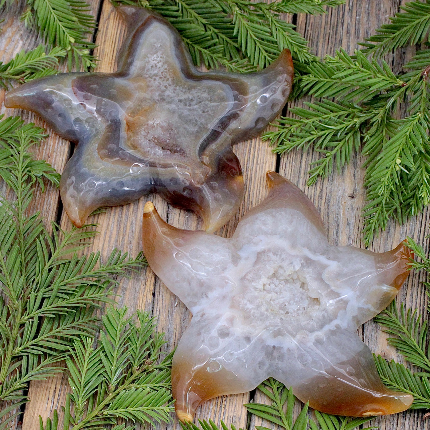 Agate Druzy Starfish