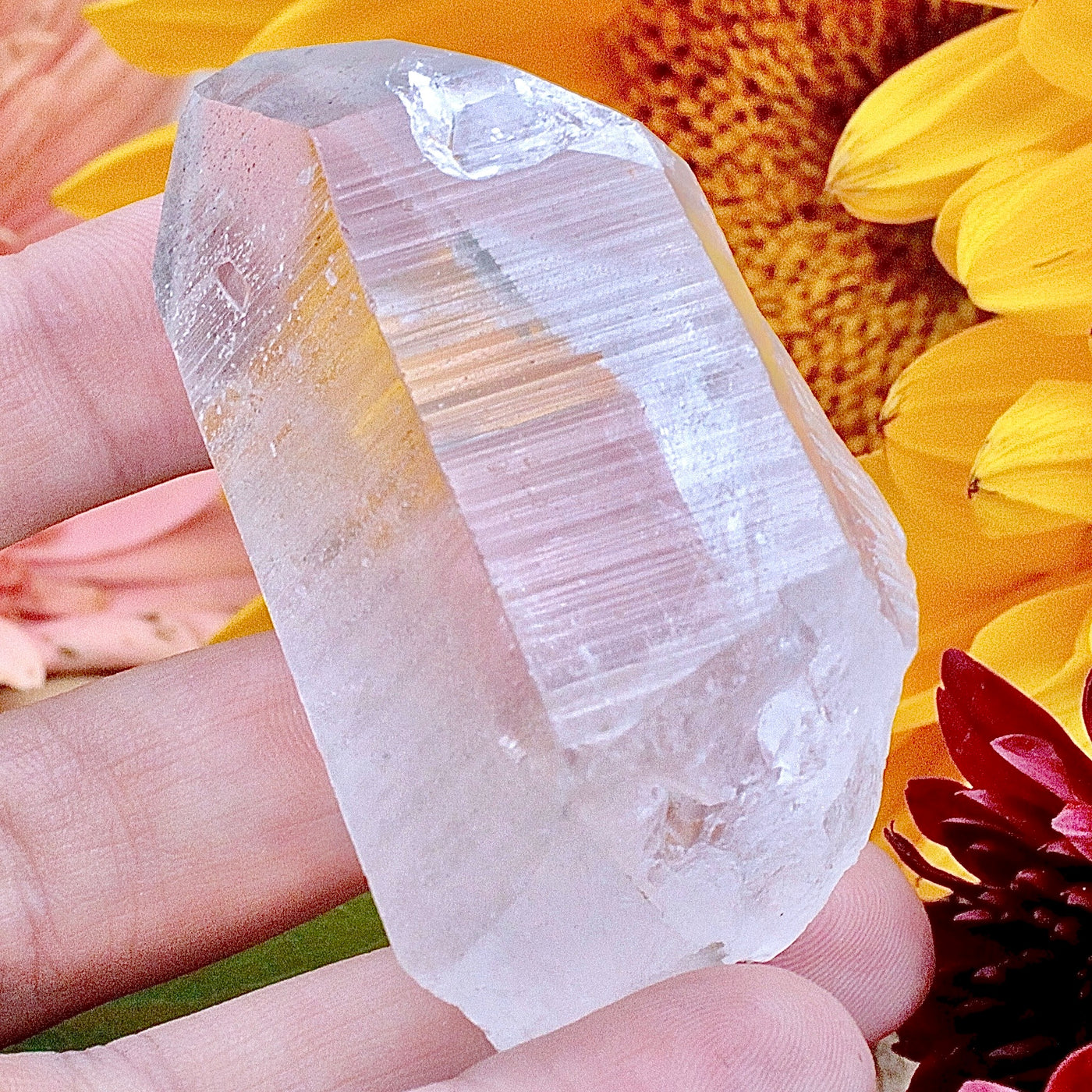 Lemurian Quartz Point