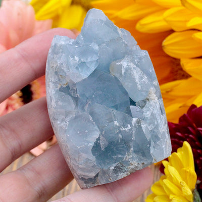 Celestite Cutbase