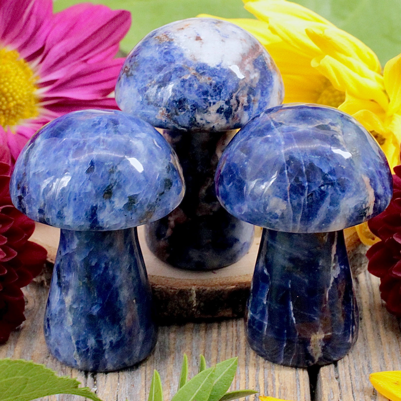 Sodalite Mushroom