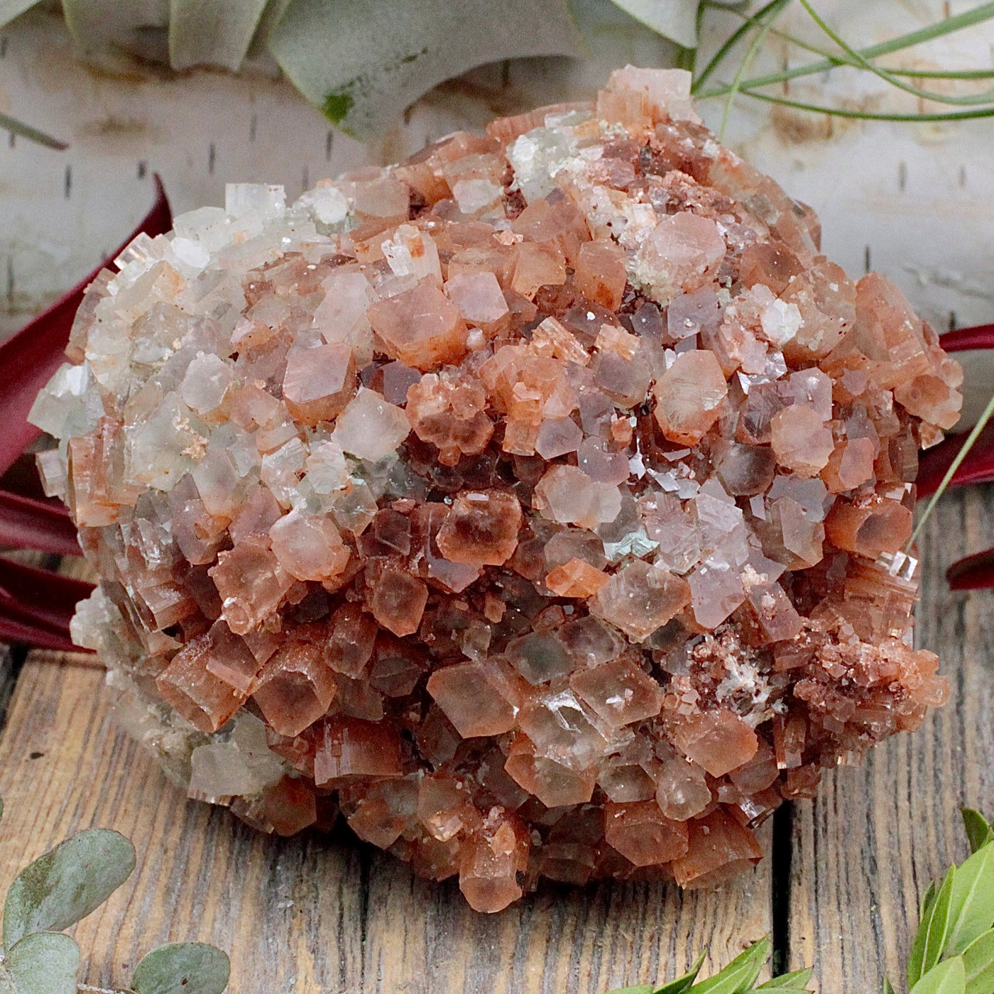 Aragonite Cluster