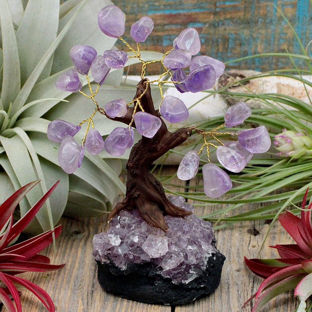 amethyst stone bonsai tree Amethyst Crystal Tree with Amethyst Cluster Base – RockMama.com