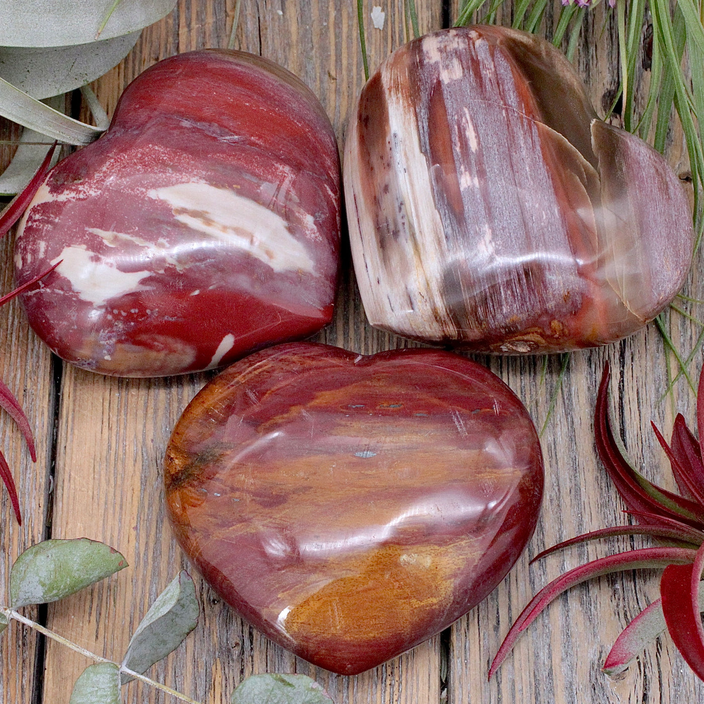 Petrified Wood Heart