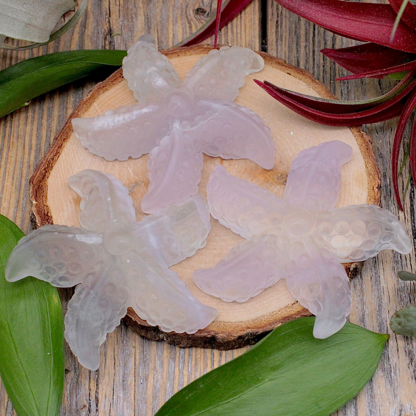 Rainbow Fluorite Starfish