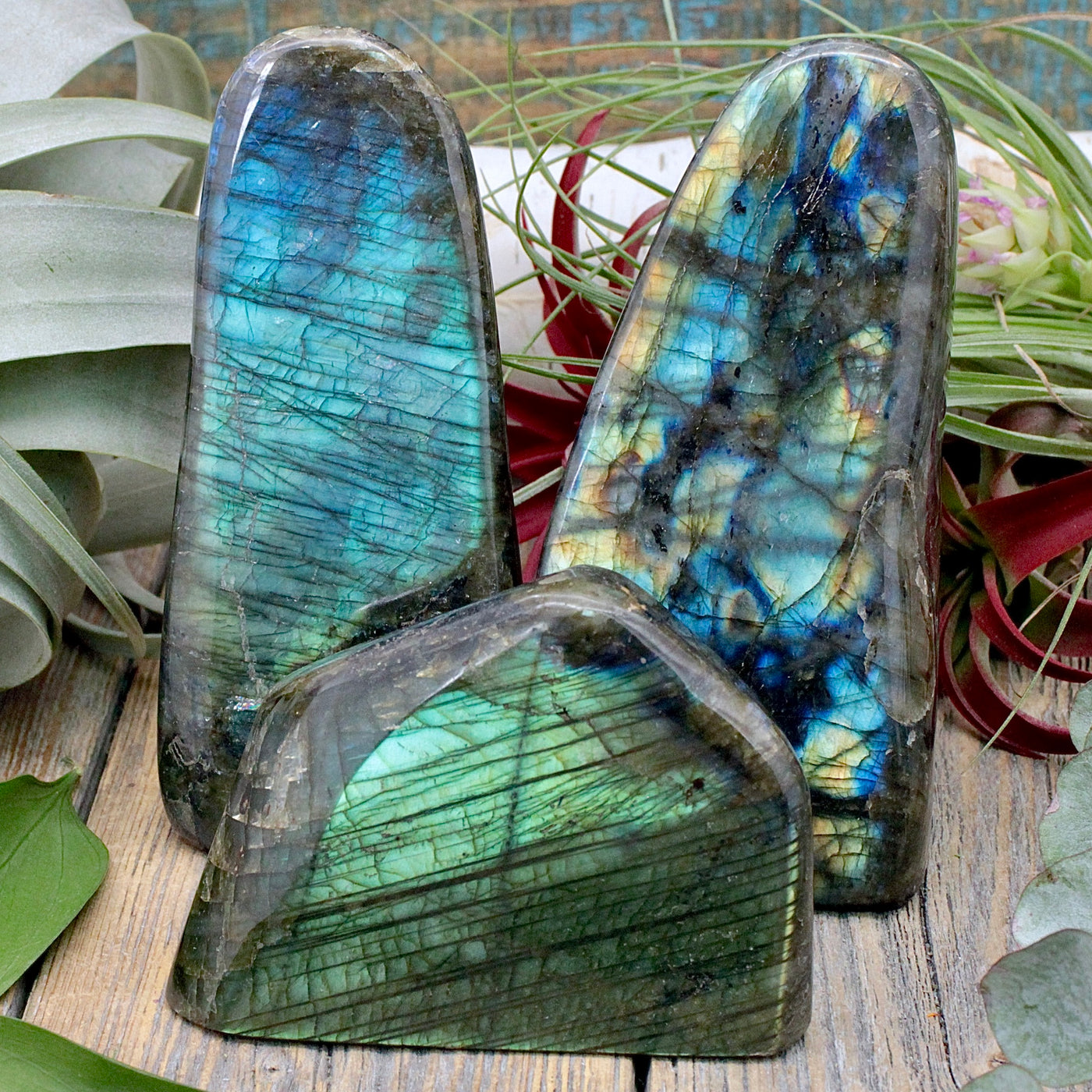 Labradorite Freeform