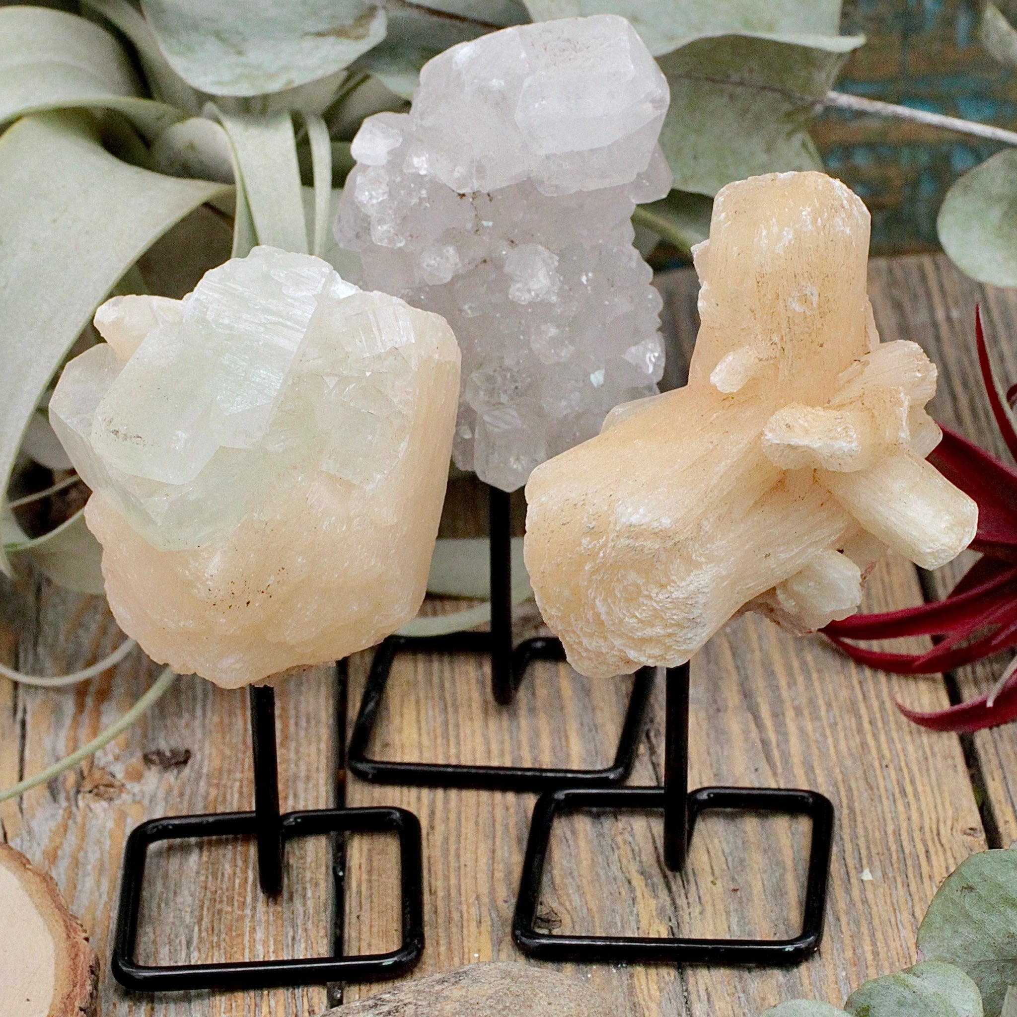Zeolite Mini Pin – RockMama.com