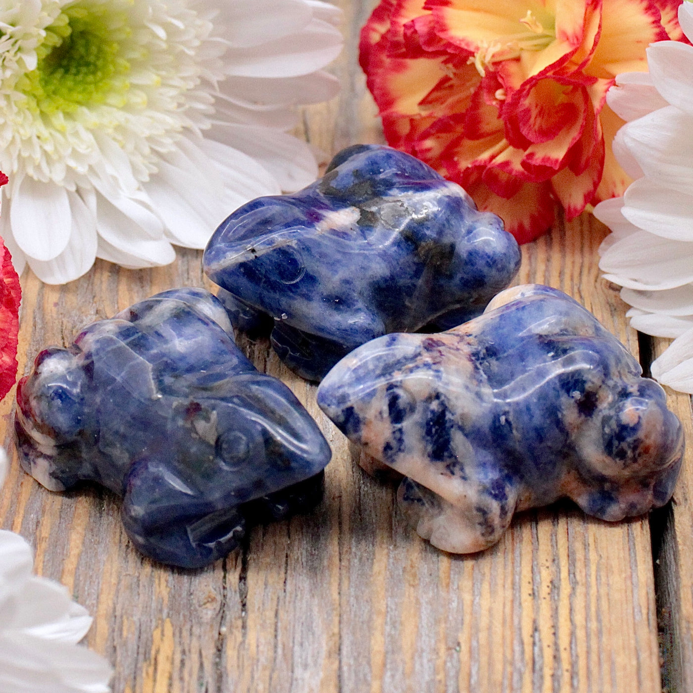 Sodalite Frog