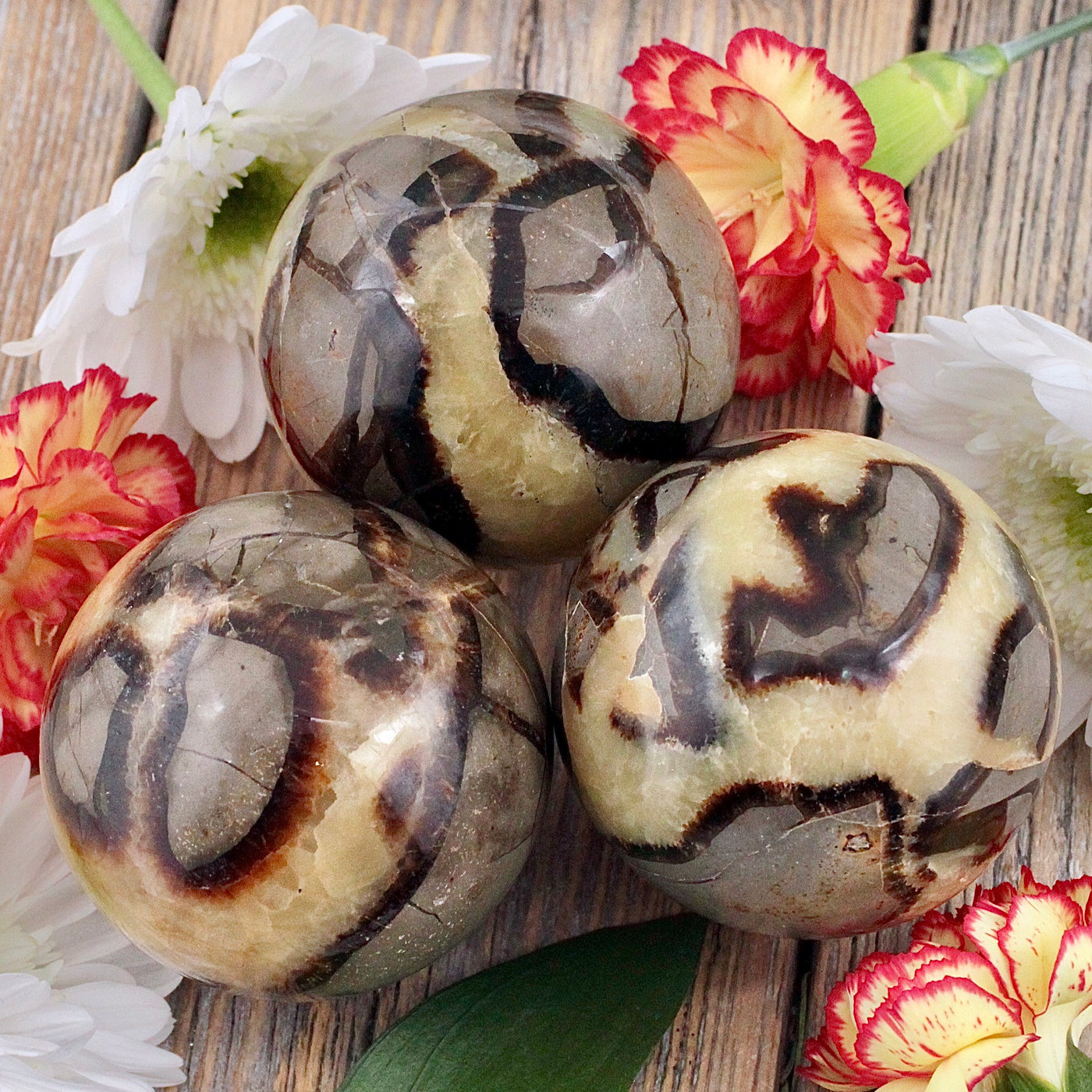 Septarian Sphere