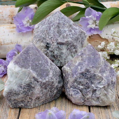 RC9777-Lepidolite-Power-Point-B
