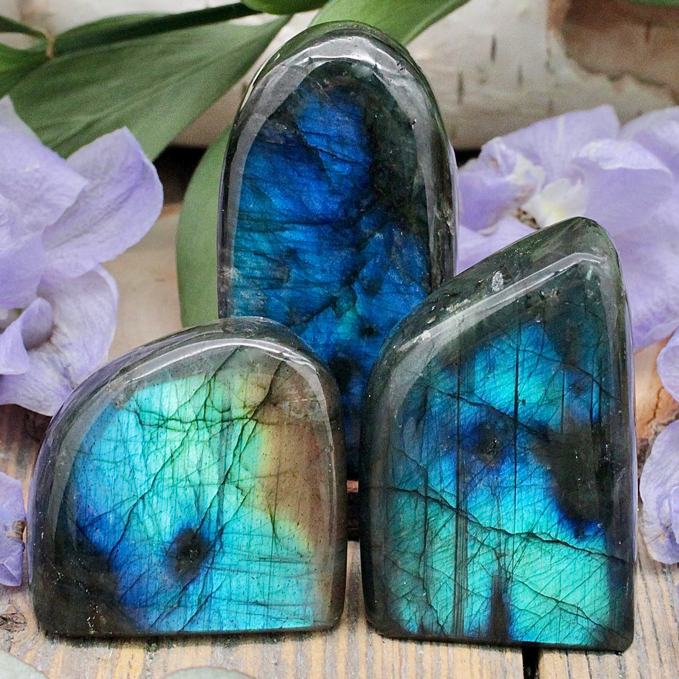 RC9801-Labradorite-Freeform