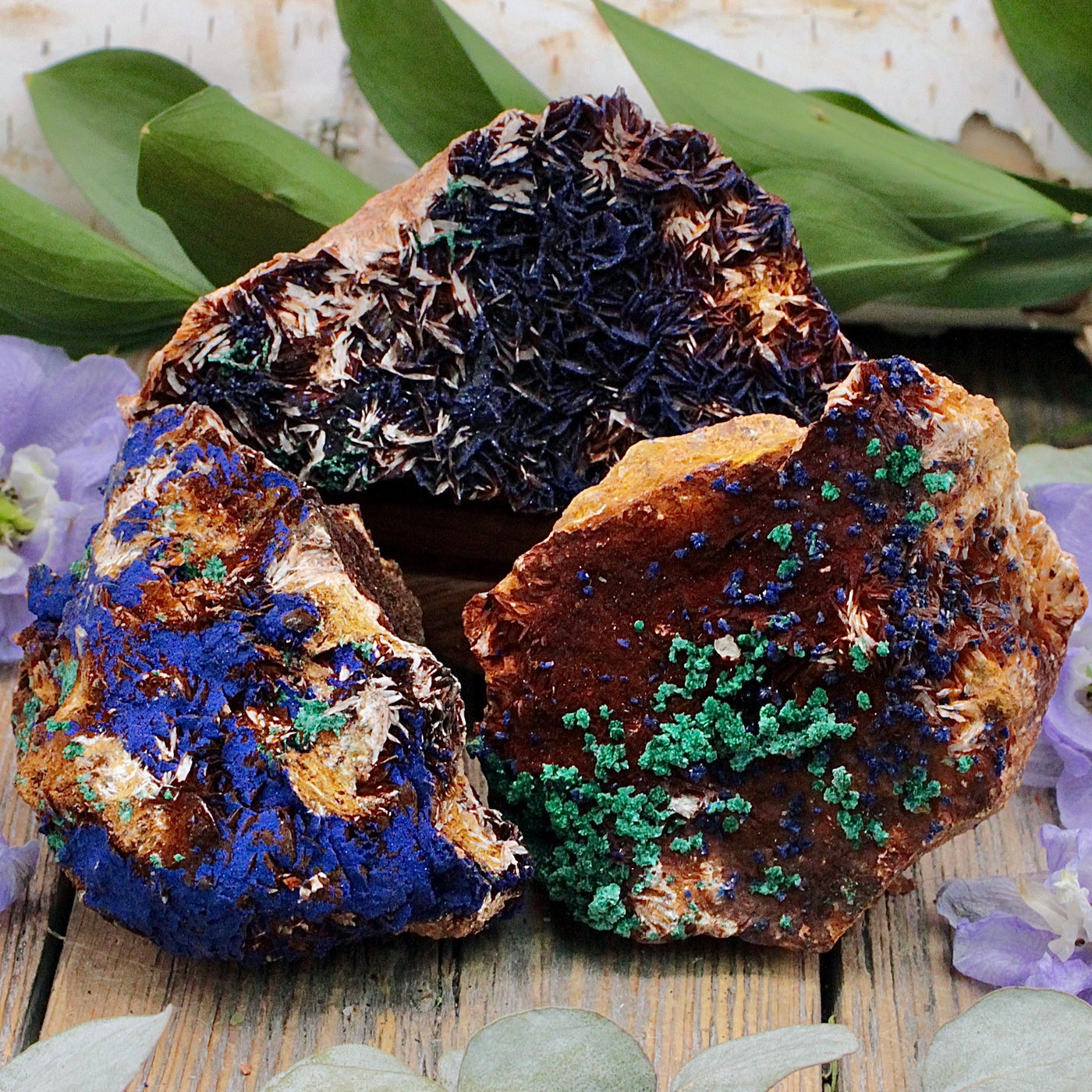 RC9812-Azurite-with-Malachite-Rough-Chunk-C