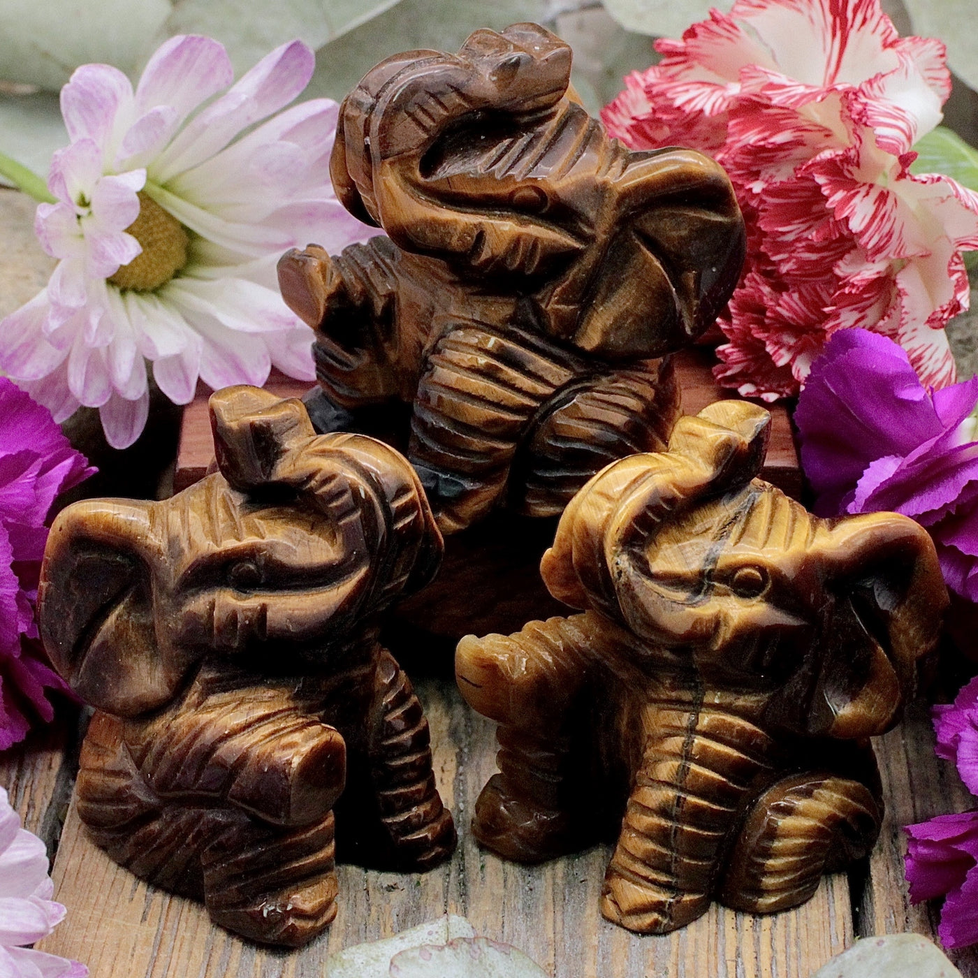 RC9935-Tiger_s-Eye-Elephant
