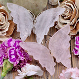 Rose Quartz Butterfly on Silver Stand