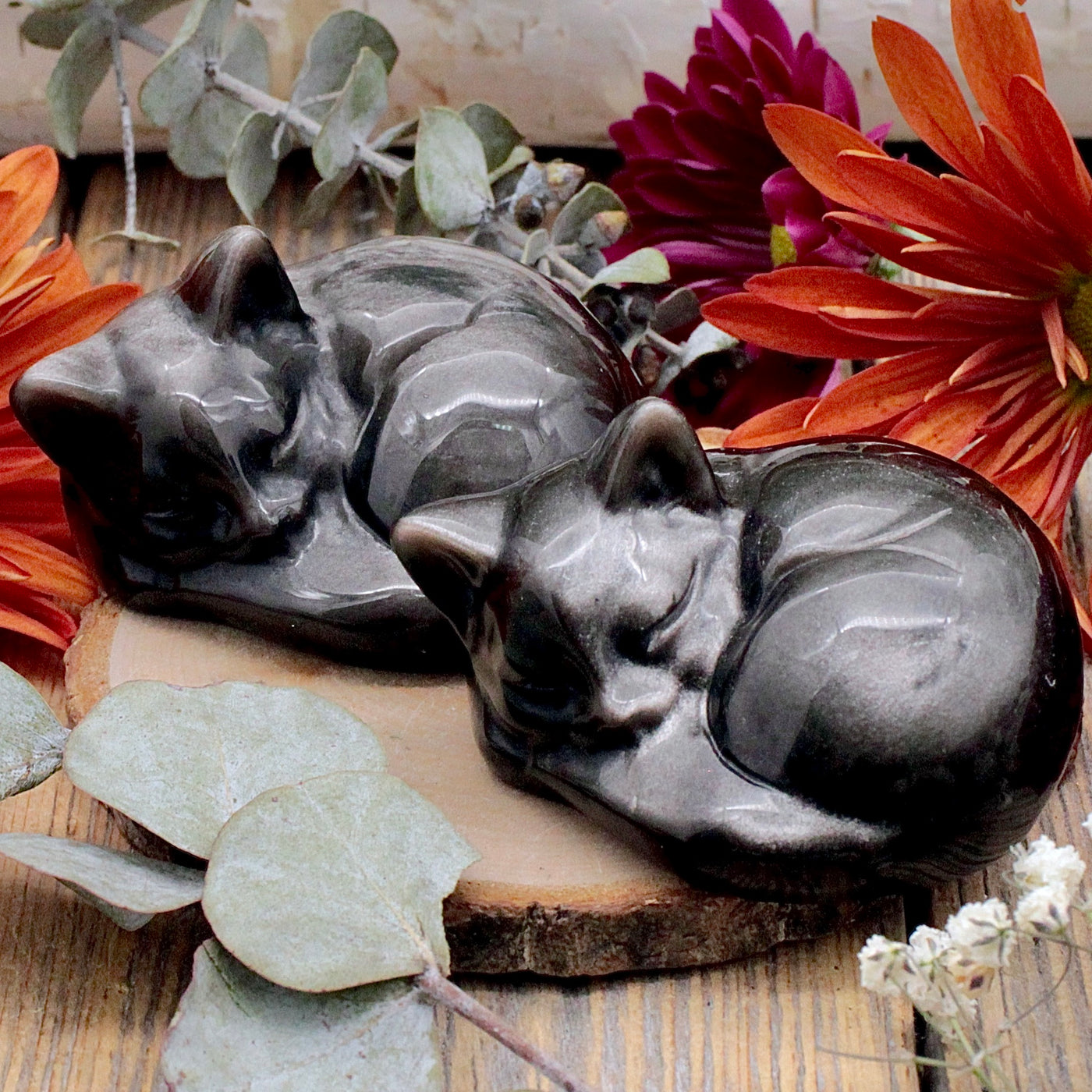 Silver Sheen Obsidian Sleeping Cat