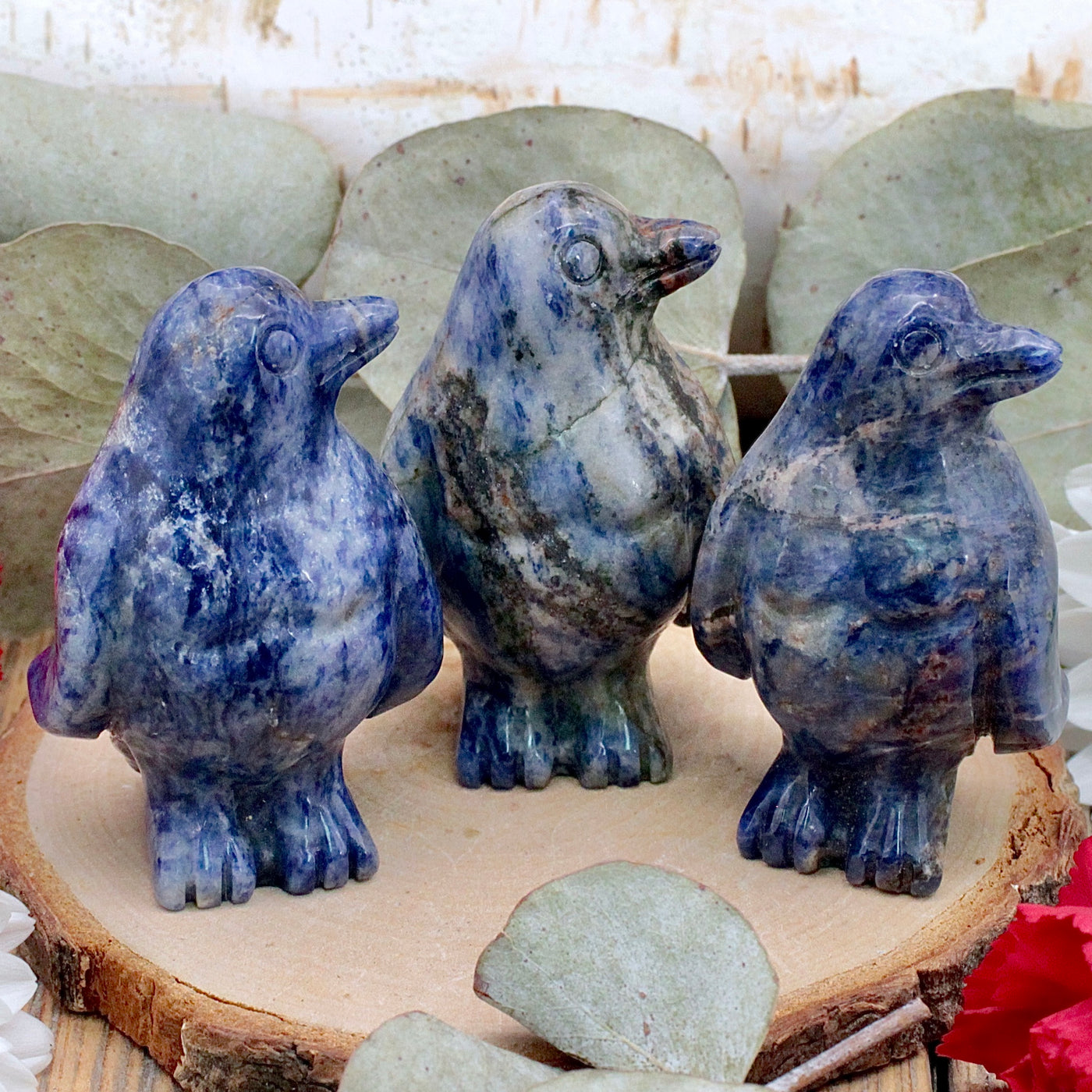 Sodalite Penguin