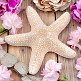 Starfish