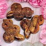 Tiger's Eye Snake