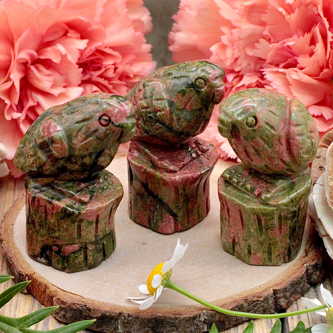 Health & Healing – RockMama.com