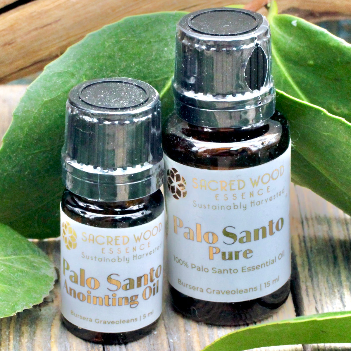 Palo Santo Anointing Oil