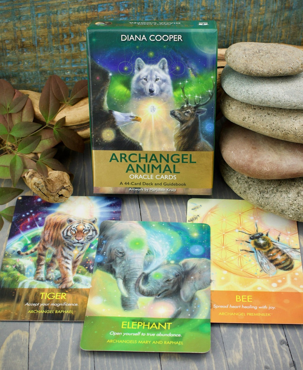 Archangel Animal Oracle Cards: A 44-Card Deck and Guidebook – RockMama.com