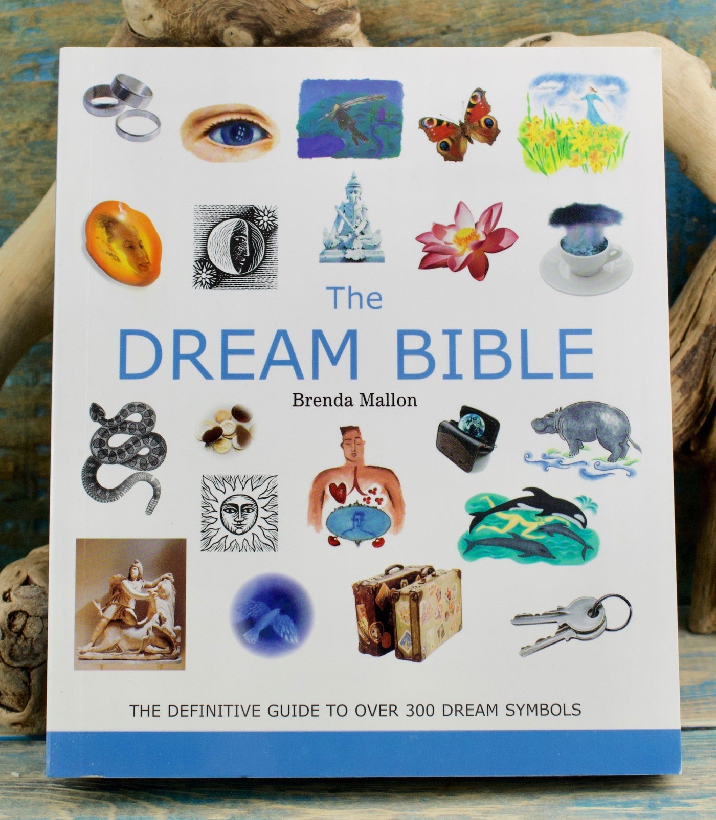 The Dream Bible: The Definitive Guide to Over 300 Dream Symbols