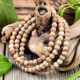 Picture Jasper Bracelet - 5mm