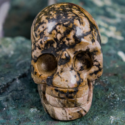 Leopard Skin Jasper Mini Skull