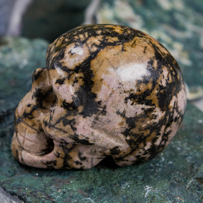 Leopard Skin Jasper Mini Skull