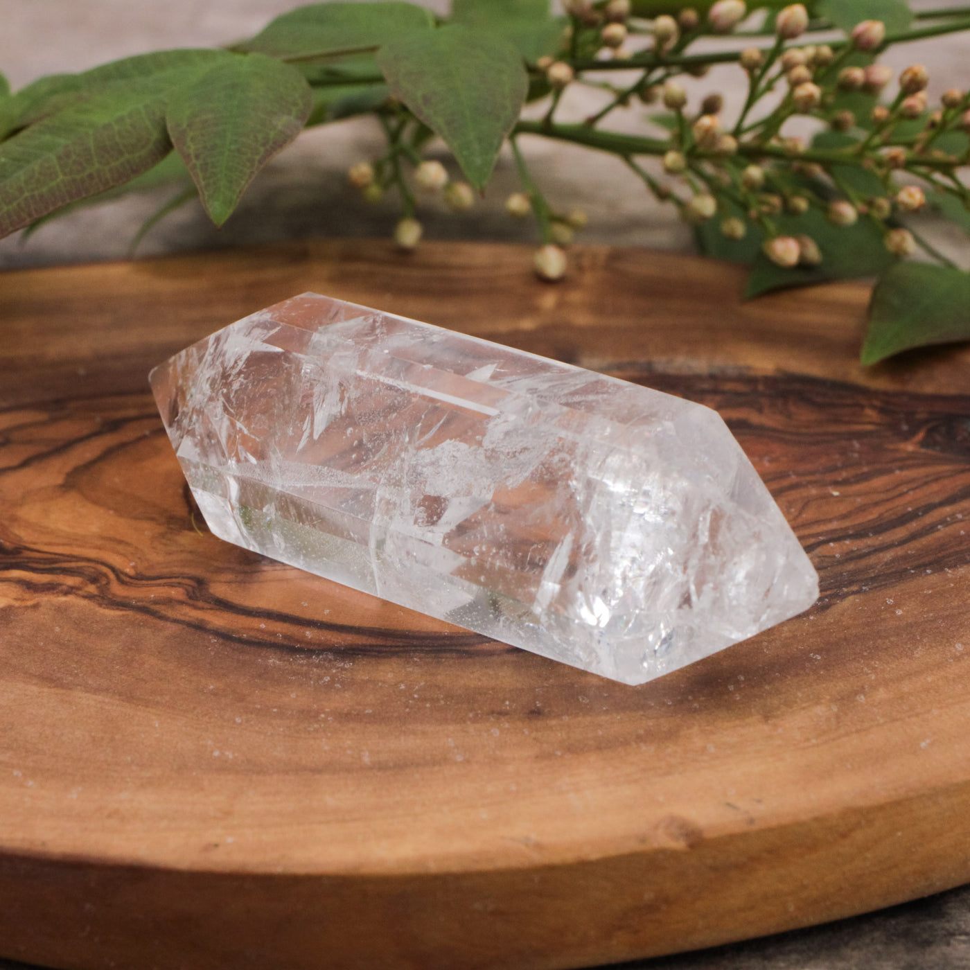 Double Terminated Quartz Point 1