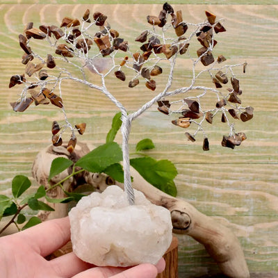 Copy of Sodalite Crystal Tree with Zeolite Base